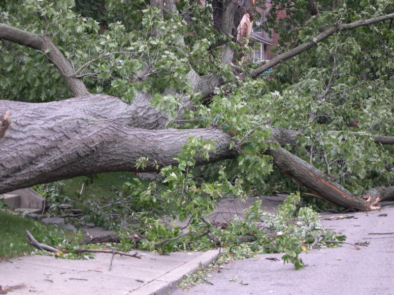 DSCN5751.JPG
