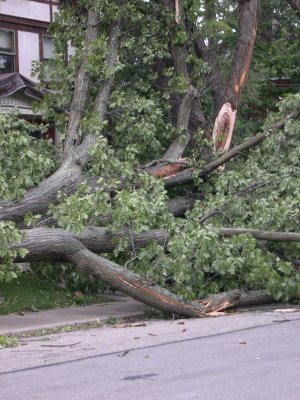 DSCN5754.JPG