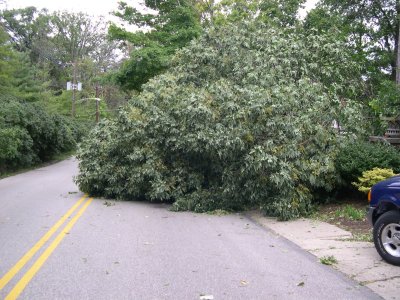 DSCN5755.JPG