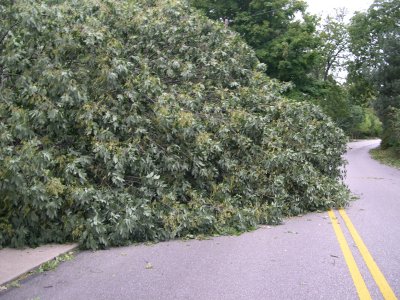 DSCN5757.JPG