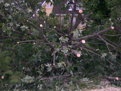 DSCN5758.JPG