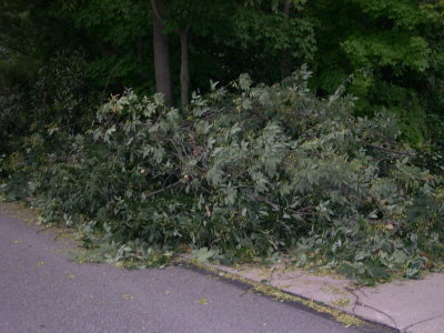 DSCN5759.JPG