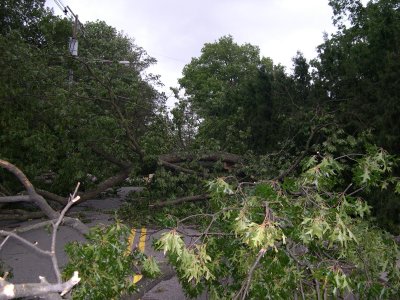 DSCN5760.JPG