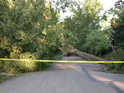DSCN5766.JPG