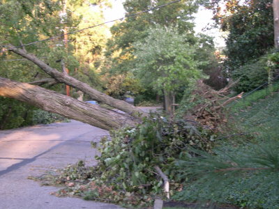 DSCN5767.JPG