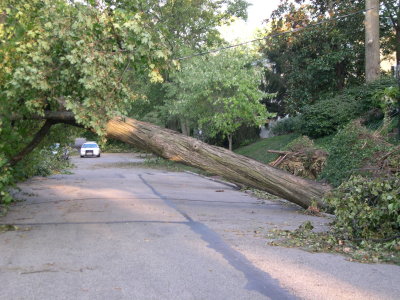 DSCN5769.JPG