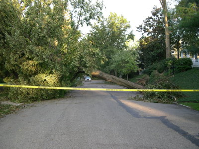 DSCN5770.JPG