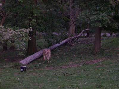 DSCN5779.JPG