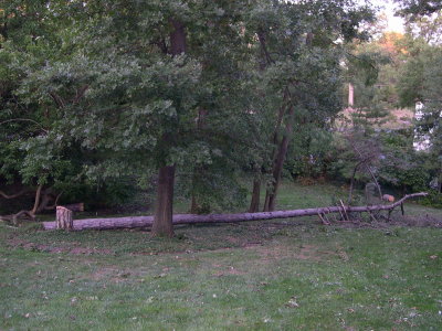 DSCN5783.JPG