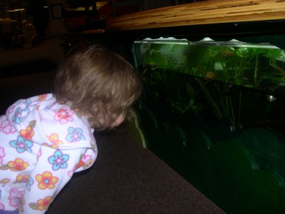 DSCN5969.JPG