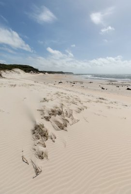 Dunes, beach, and clouds (DSC3946)