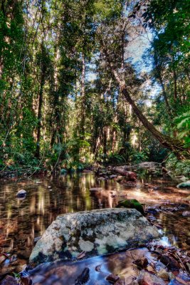 Birthday Creek and rainforest near Paluma, Queensland
