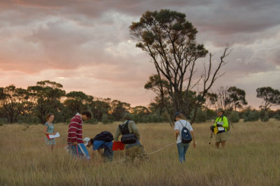 Vegetation sampling at sunset _DSC1763