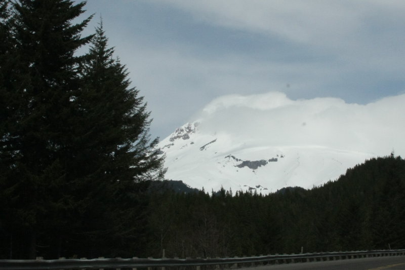 IMG_3841.jpg