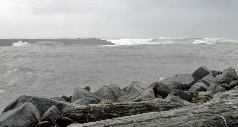 Beach 5.jpg