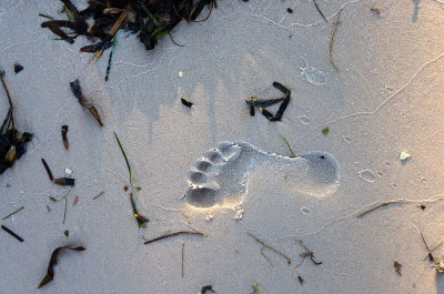 Footprint