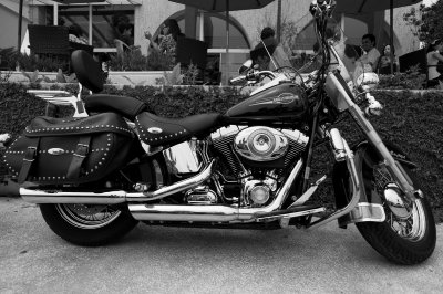 Harley4.jpg