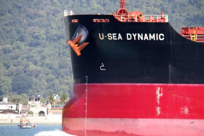 U-Sea Dynamic - 23 ago 2012 - detalhe_5426.JPG