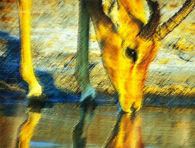 g1/64/603464/3/114112231.Kb3YQqgl.jpg