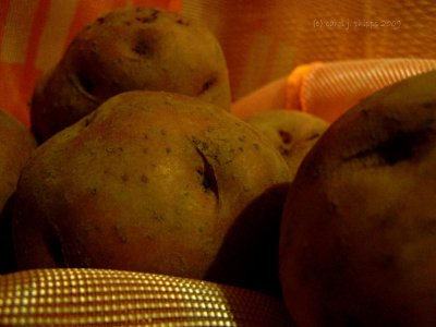 Fresh Potatoes.