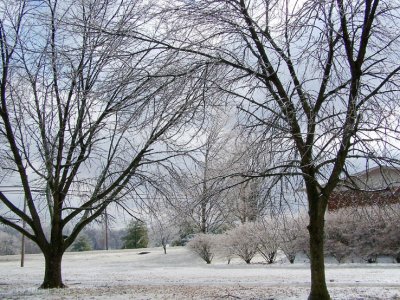 Recent Ice Storm.