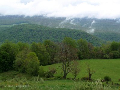 Kingwood West Virginia.