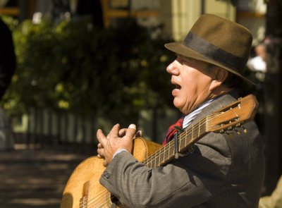 Street Musician