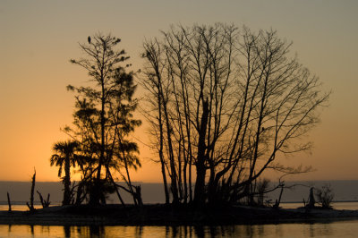 Indian River Lagoon