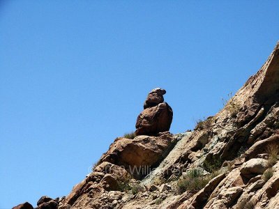 Arches Nat Park Eagle