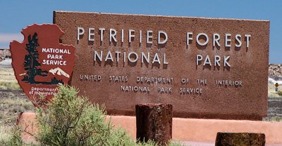 Petrified Forest, Arizona & VIDEO