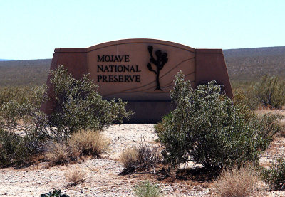 Mojave National Preserve & Video