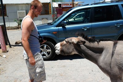 Oatman, Arizona...Route 66