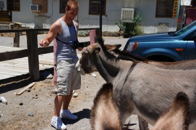 Oatman, Arizona...Route 66