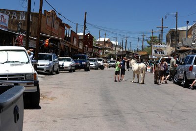 Oatman, Arizona...Route 66