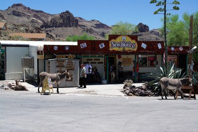 Oatman, Arizona...Route 66