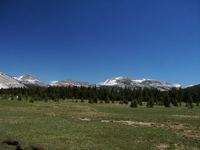 Tuolumne Meadows Yosemite