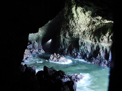 Sea Lion Cave Video