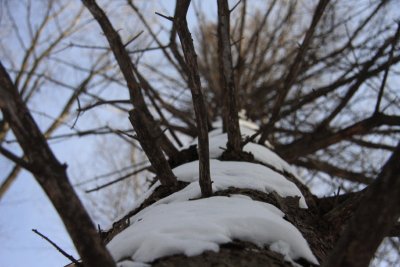resized_0031.jpg
