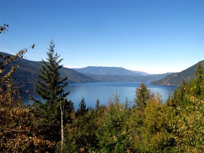 IMG_5230.JPG