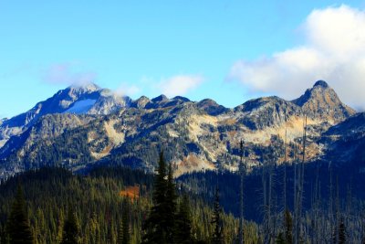 IMG_9868.JPG