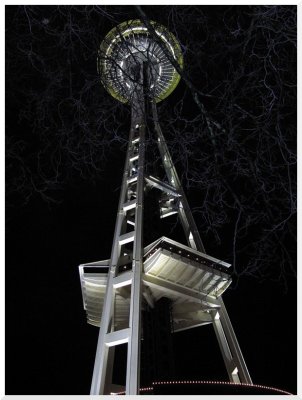 needle_2.JPG