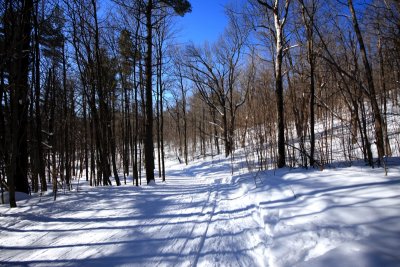 Cross Country Skiing in Gatineau Park