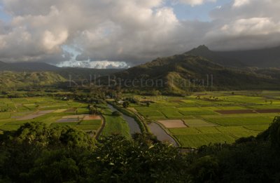 Kauai