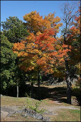 Fall Time, Skinner State Park