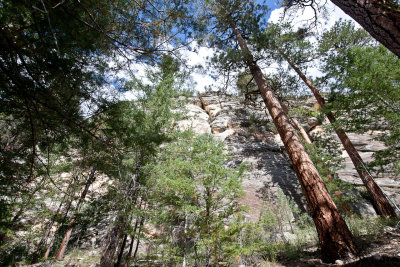 Upper Clear Creek