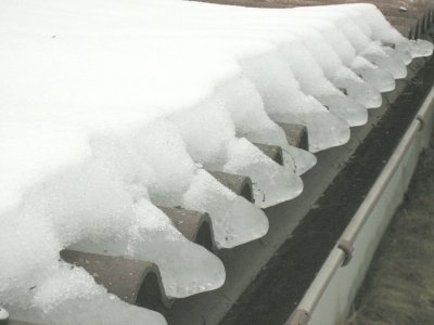 Ice Paws