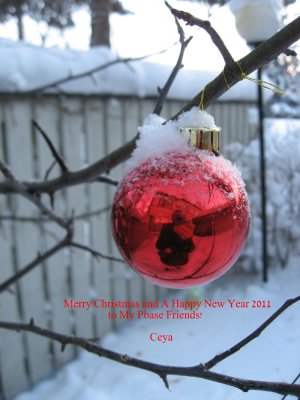 I Wish You a Merry Christmas and a Happy New Year 2011!