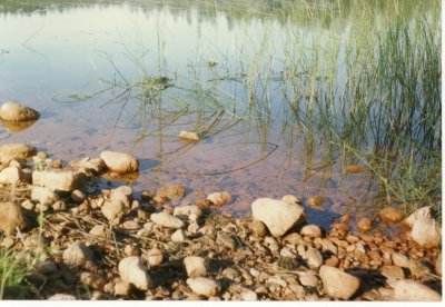 A Lake in Lapland