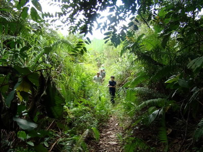 DSC09426.JPG