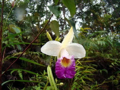 DSC09437.JPG